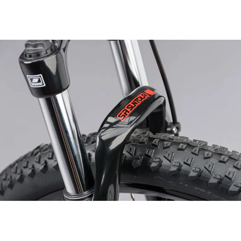 Ridgeback Terrain 4 Mountain Bike in Silver-5